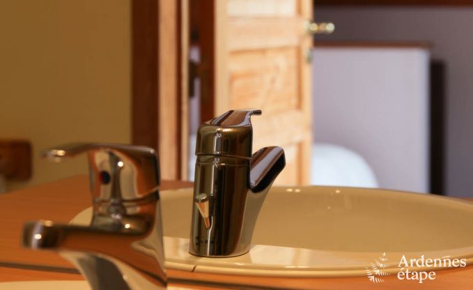 Vakantiehuis in Redu voor 22 personen in de Ardennen