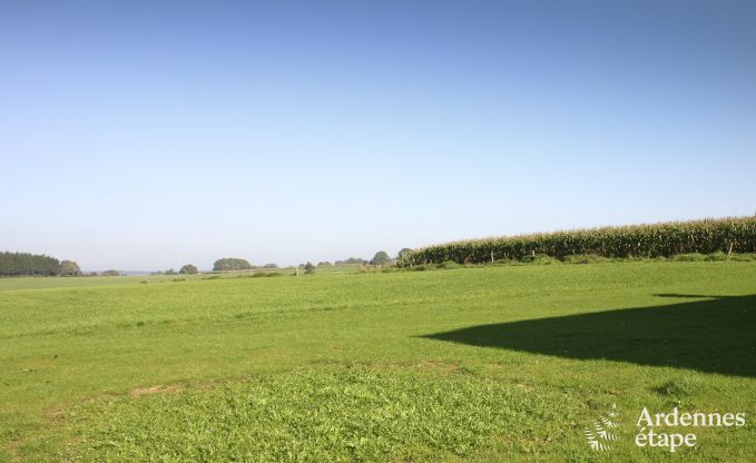 Vakantiehuis in Redu voor 10 personen in de Ardennen