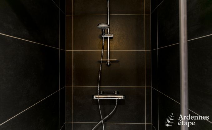 Vakantiehuis in Redu voor 14 personen in de Ardennen