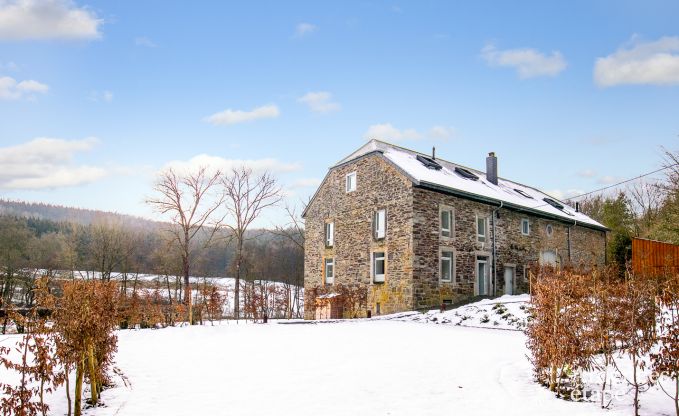 Vakantiehuis in Redu voor 38 personen in de Ardennen