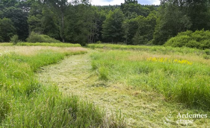 Vakantiehuis in Redu voor 38 personen in de Ardennen