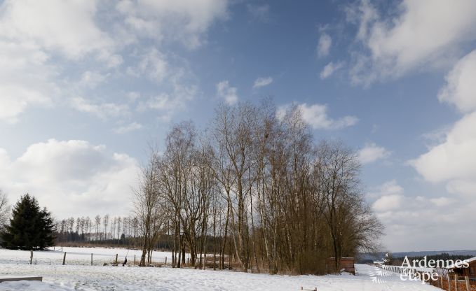 Vakantiehuis in Redu voor 17 personen in de Ardennen