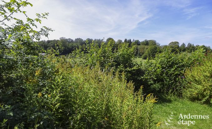Vakantiehuis in Redu voor 15 personen in de Ardennen