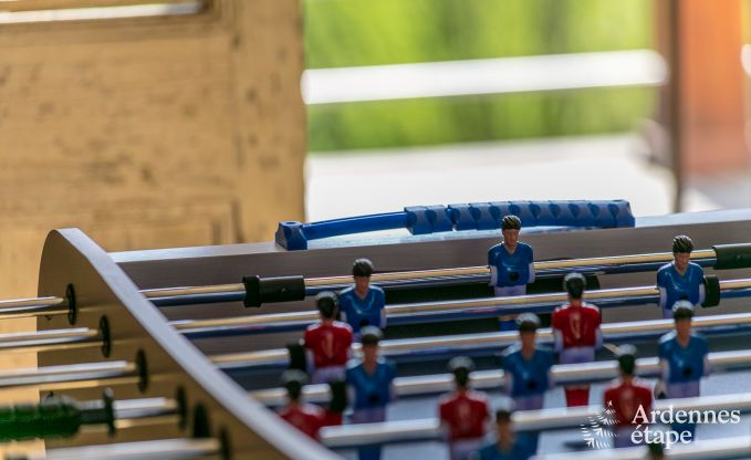 Luxe villa in Redu, Ardennen, 9 personen, buitenzwembad, sauna, stoombad, binnen- en buitenjacuzzi, privtuin, volledige uitrusting