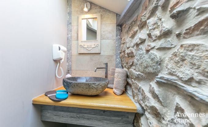 Luxe villa in Redu, Ardennen, 9 personen, buitenzwembad, sauna, stoombad, binnen- en buitenjacuzzi, privtuin, volledige uitrusting