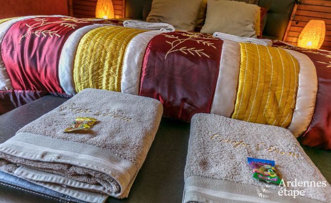 Luxe villa in Redu, Ardennen, 9 personen, buitenzwembad, sauna, stoombad, binnen- en buitenjacuzzi, privtuin, volledige uitrusting