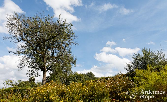 Vakantiehuis in Redu voor 15 personen in de Ardennen
