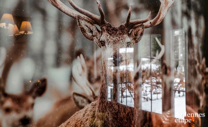 Vakantiehuis in Redu voor 14 personen in de Ardennen