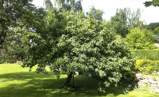 Luxe villa in Remouchamps voor 10/12 personen in de Ardennen
