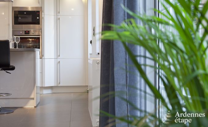 Luxe villa in Remouchamps voor 10/12 personen in de Ardennen