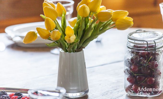 Hondvriendelijk vakantiehuis  voor 10 personen in Rendeux