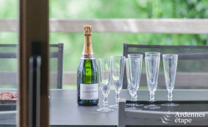 Hondvriendelijk vakantiehuis  voor 10 personen in Rendeux