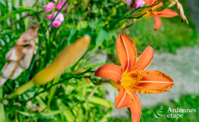 Vakantiehuis in Rendeux, Ardennen, 6 personen, 2 slaapkamers, privtuin, babyuitrusting, terras met barbecue