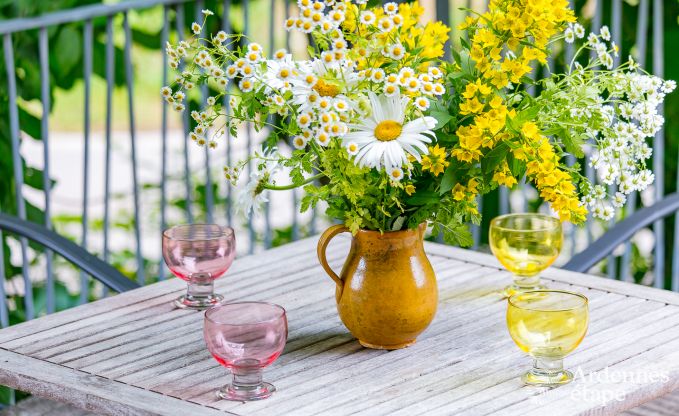 Vakantiehuis in Rendeux, Ardennen, 6 personen, 2 slaapkamers, privtuin, babyuitrusting, terras met barbecue