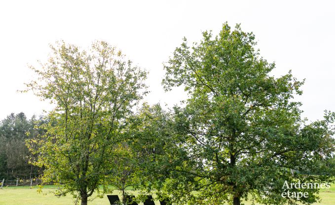 Vakantiehuis in Rendeux voor 9 personen in de Ardennen