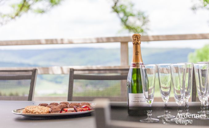 Hondvriendelijk vakantiehuis  voor 10 personen in Rendeux