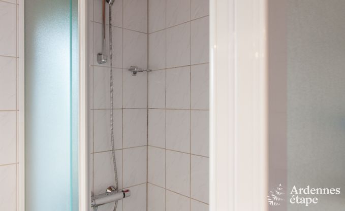 Hondvriendelijk vakantiehuis  voor 10 personen in Rendeux