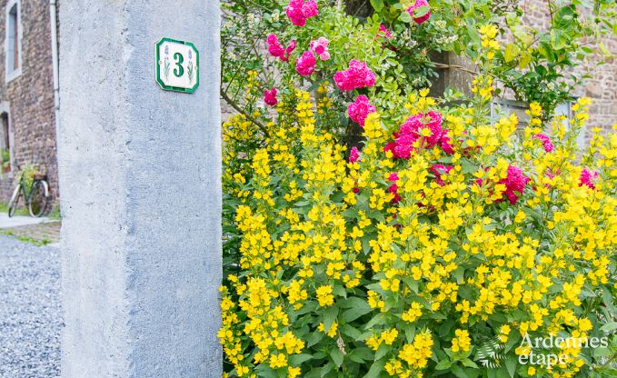 Vakantiehuis in Rendeux, Ardennen, 6 personen, 2 slaapkamers, privtuin, babyuitrusting, terras met barbecue