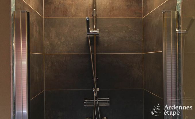 Appartement in Robertville (Waimes) voor 4 personen in de Ardennen