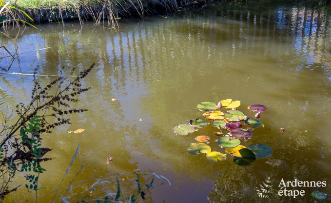 Vakantiehuis in Robertville voor 31/34 personen in de Ardennen