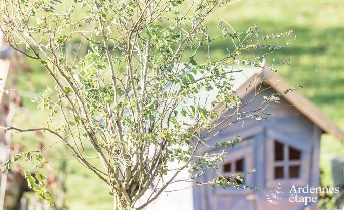 Vakantiehuis in Robertville voor 9 personen in de Ardennen