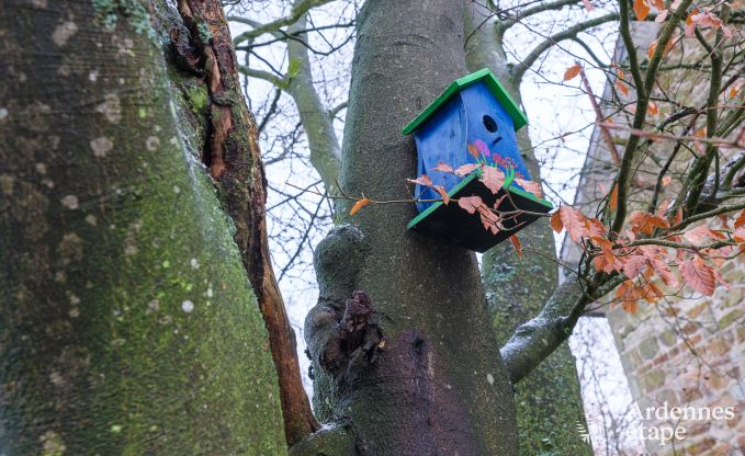 Vakantiehuis in Robertville voor 14 personen in de Ardennen