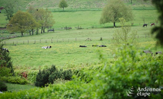 Gezellige familiechalet in Rochefort, Ardennen