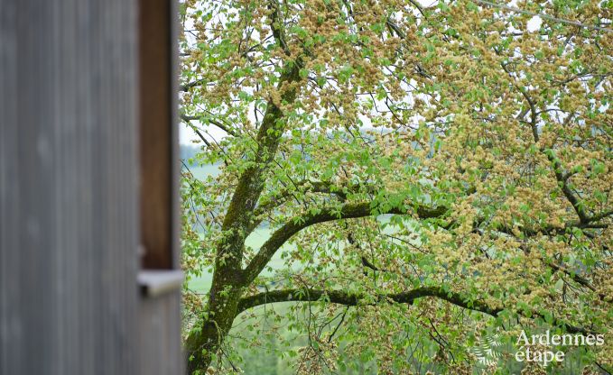 Gezellige familiechalet in Rochefort, Ardennen