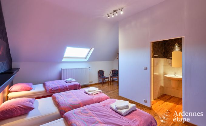 Kasteel in Rochefort voor 48 personen in de Ardennen