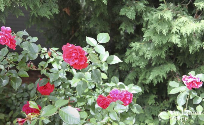 Vakantiehuis in Rochefort voor 7 personen in de Ardennen