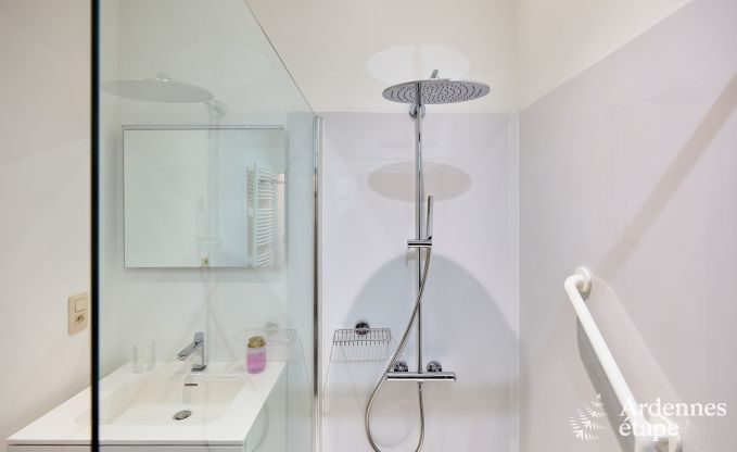 Zeer verzorgd en charmant vakantiehuis voor 8 personen in Tellin, dichtbij Rochefort