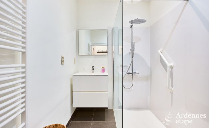 Zeer verzorgd en charmant vakantiehuis voor 8 personen in Tellin, dichtbij Rochefort