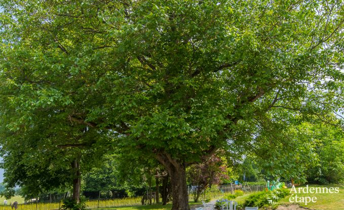 Cottage in Rochefort voor 15 personen in de Ardennen