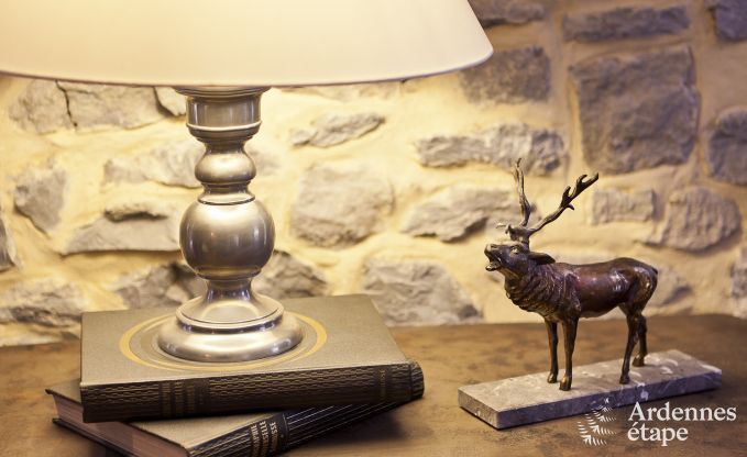Cottage in Rochefort voor 15 personen in de Ardennen