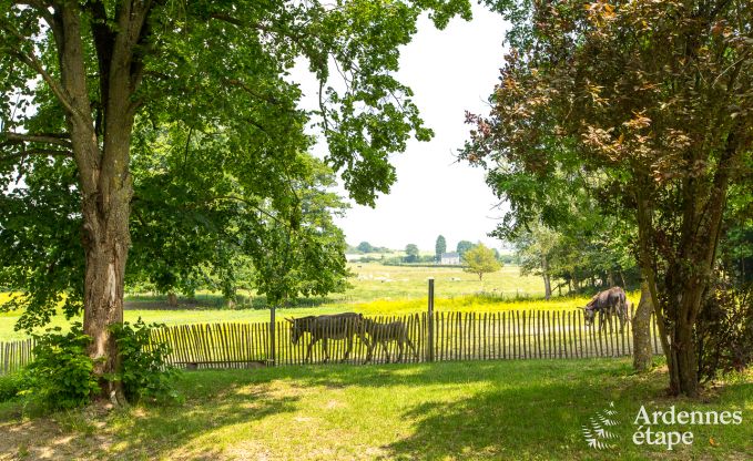 Cottage in Rochefort voor 15 personen in de Ardennen