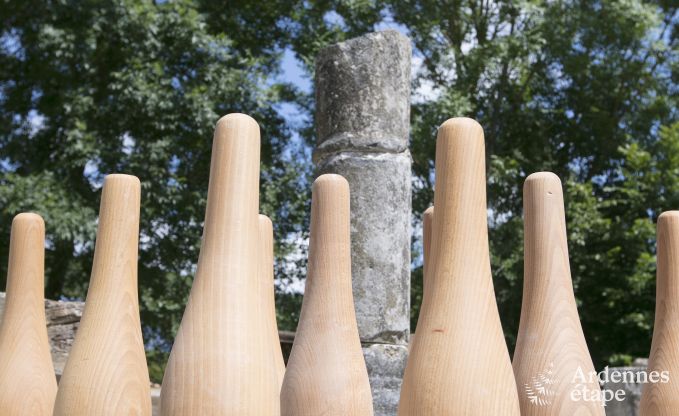 Luxe villa in Rochefort voor 16 personen in de Ardennen