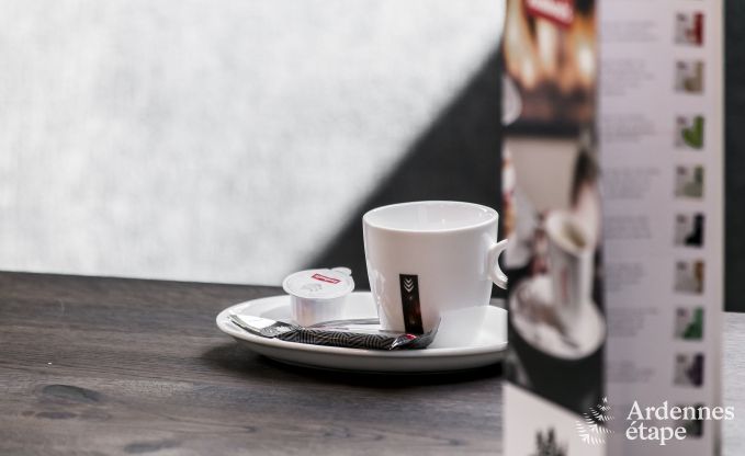 Luxe villa in Rochefort voor 16 personen in de Ardennen