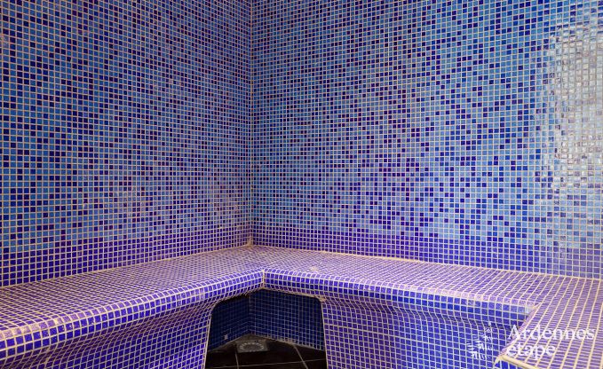 Luxe villa in Rochefort voor 48 personen in de Ardennen