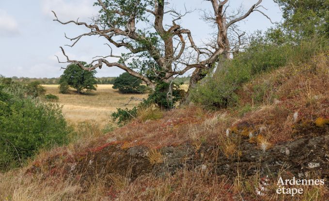 Vakantiehuis in Rochefort voor 6 personen in de Ardennen