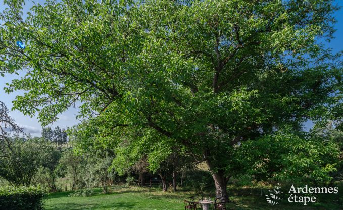 Vakantiehuis in Rochefort voor 6 personen in de Ardennen