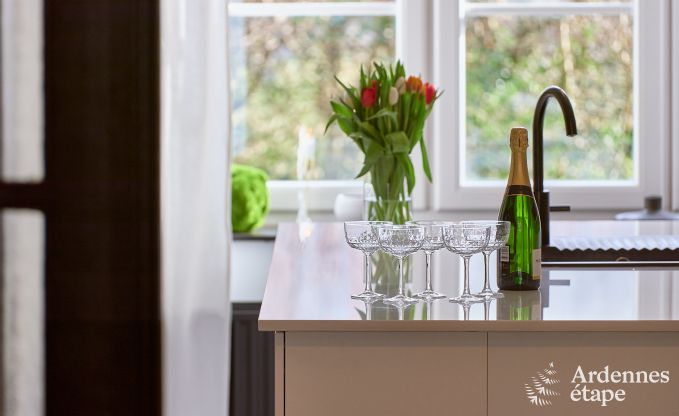 Zeer verzorgd en charmant vakantiehuis voor 8 personen in Tellin, dichtbij Rochefort