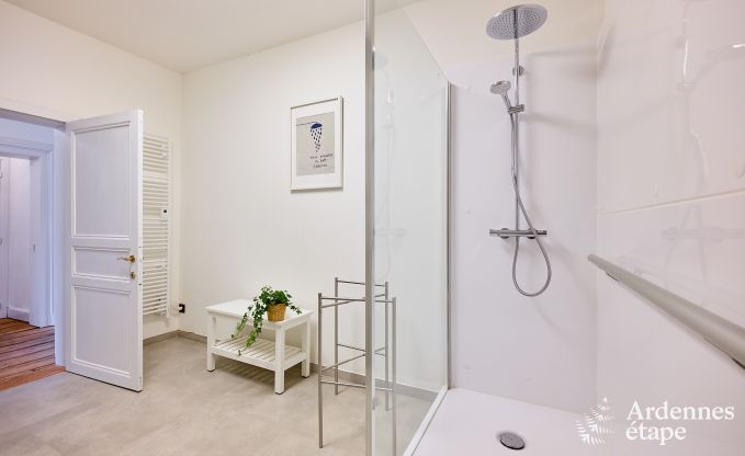 Zeer verzorgd en charmant vakantiehuis voor 8 personen in Tellin, dichtbij Rochefort