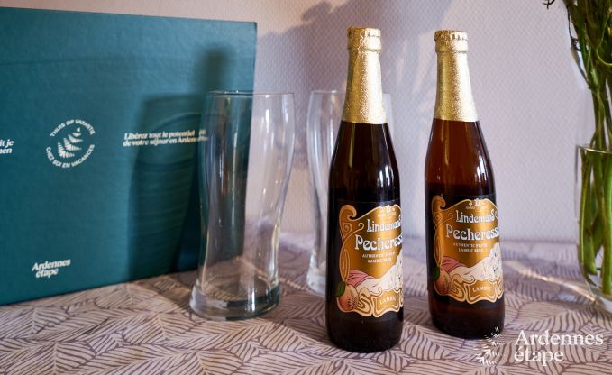 Vakantiehuis in Rochefort voor 12/14 personen in de Ardennen