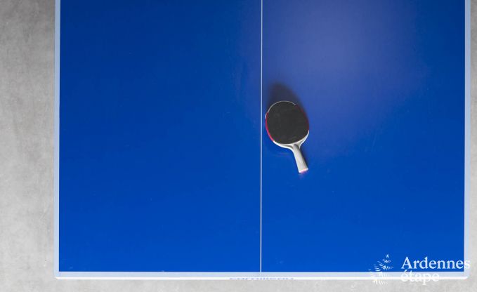 Vakantiehuis in Rochefort voor 14 personen in de Ardennen