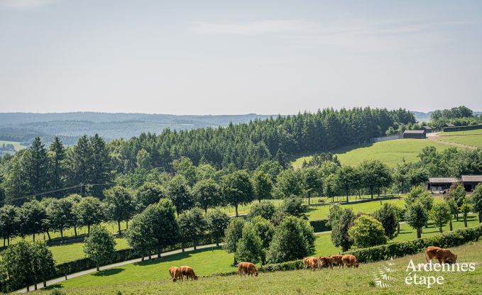 Moderne villa in Rochehaut: ruime accommodatie voor 12 personen met priv�tuin en hottub