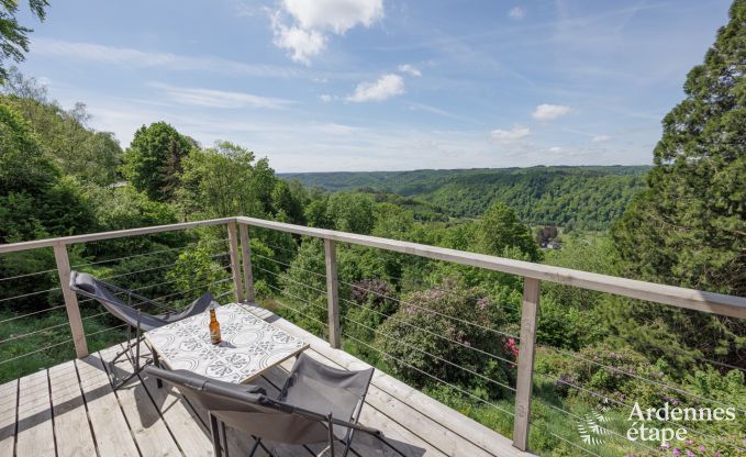 Vakantiehuis in Rochehaut voor 10/11 personen in de Ardennen