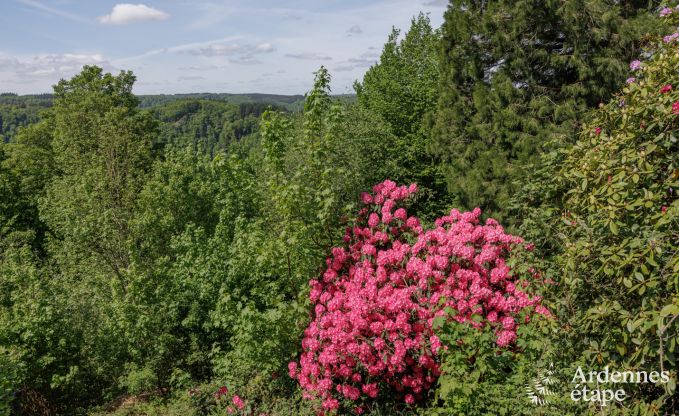 Vakantiehuis in Rochehaut voor 10/11 personen in de Ardennen