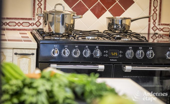 Vakantiehuis in Rochehaut voor 7/9 personen in de Ardennen