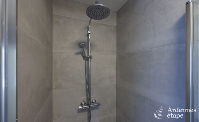 Vakantiehuis in Rochehaut voor 10/11 personen in de Ardennen