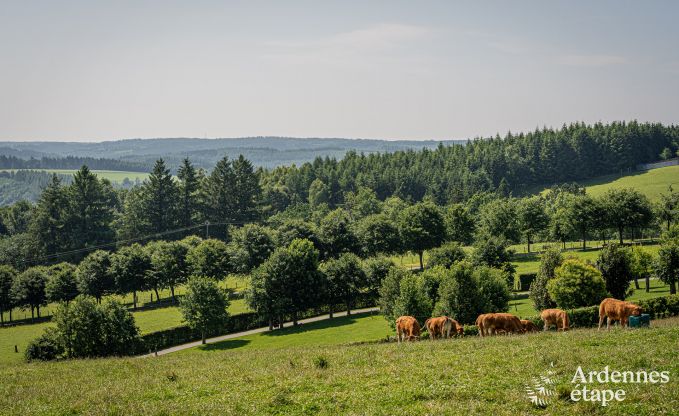 Gezellige gelijkvloerse vakantiewoning voor 2 personen in Rochehaut met uitzicht